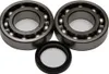 All Balls Crankshaft Bearings Kit Kawasaki Suzuki 250 Dirtbike