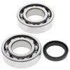 All Balls Crankshaft Bearings Kit Kawasaki Suzuki 250 Dirtbike
