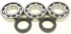 All Balls Crankshaft Crank Shaft Bearings Kit Polaris ATV 250