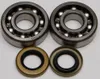 All Balls Crankshaft Bearings Kit for KTM 60-65 SX 65 XC
