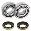 All Balls Crankshaft Bearings Kit for KTM 60-65 SX 65 XC