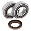 All Balls Crankshaft Bearings Kit for KTM Polaris 400-525