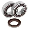 All Balls Crankshaft Bearings Kit for KTM Polaris 400-525