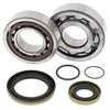 All Balls Crankshaft Bearing Kit GAS GAS EC200-300 MC250 SM250