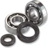 All Balls Crankshaft Bearing Kit GAS GAS EC200-300 MC250 SM250