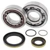 All Balls Crankshaft Bearing Kit GAS GAS EC200-300 MC250 SM250