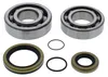 All Balls Crankshaft Crank Shaft Bearings Kit GAS GAS 200-300
