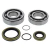 All Balls Crankshaft Crank Shaft Bearings Kit GAS GAS 200-300