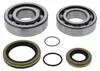 All Balls Crankshaft Crank Shaft Bearings Kit GAS GAS 200-300