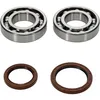 All Balls Crankshaft Crank Shaft Bearing Seal Kit