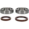 All Balls Crankshaft Crank Shaft Bearing Seal Kit