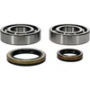 All Balls Crankshaft Crank Shaft Bearing Seal Kit