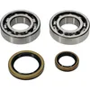 All Balls Crankshaft Crank Shaft Bearing Seal Kit