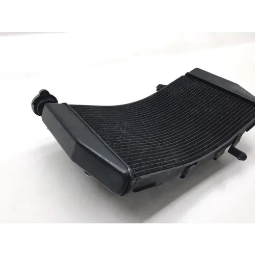 Radiator Cooling Front Fluid with Fan 2009 Ducati 1198 2557A 5
