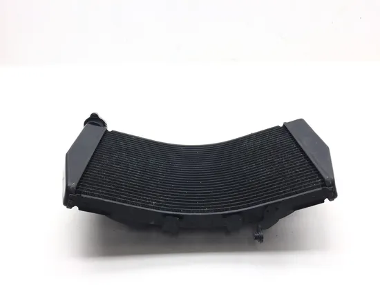 Radiator Cooling Front Fluid with Fan 2009 Ducati 1198 2557A