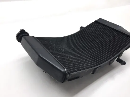 Radiator Cooling Front Fluid with Fan 2009 Ducati 1198 2557A