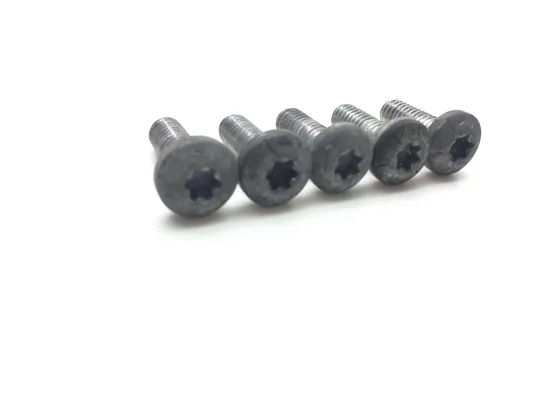 Front Brake Rotor Bolts 2008 Harley-Davidson Softail Custom FXSTC 2559