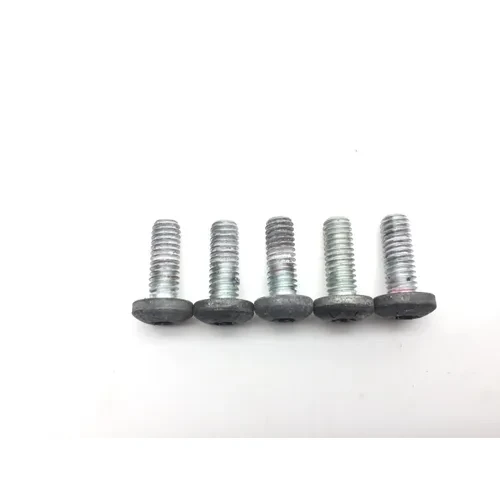 Front Brake Rotor Bolts 2008 Harley-Davidson Softail Custom FXSTC 2559 5
