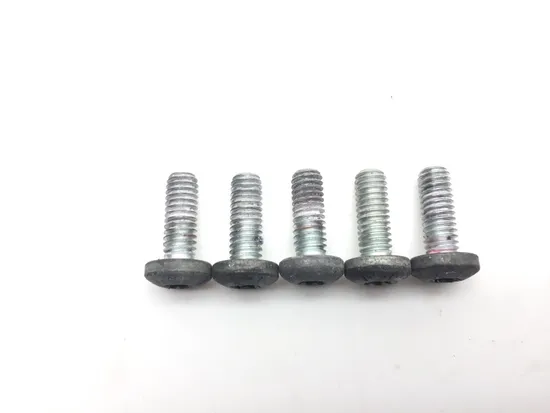 Front Brake Rotor Bolts 2008 Harley-Davidson Softail Custom FXSTC 2559