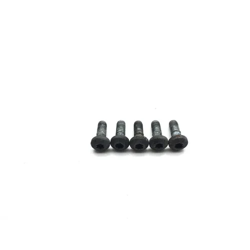 Rear Brake Rotor Disc Bolts 2008 Harley-Davidson Softail Custom FXSTC 2559 3