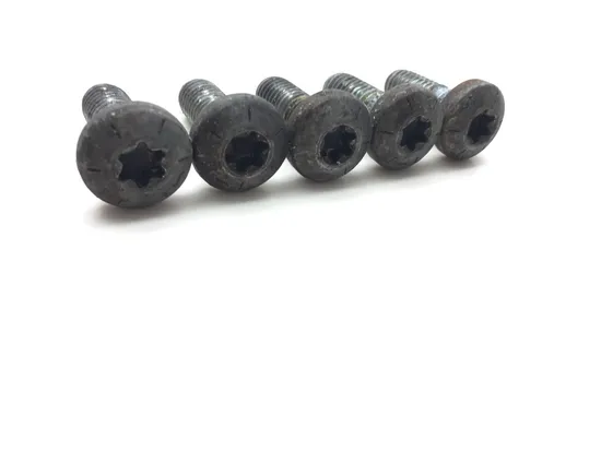 Rear Brake Rotor Disc Bolts 2008 Harley-Davidson Softail Custom FXSTC 2559