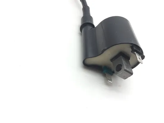 2019 Honda 420 Rancher 2wd Manual Ignition Coil 2570A 2