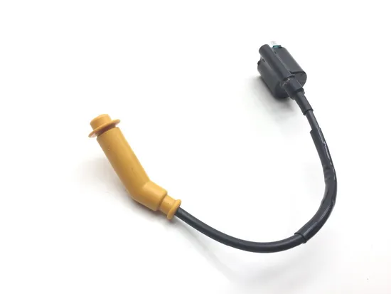 2019 Honda 420 Rancher 2wd Manual Ignition Coil 2570A 5