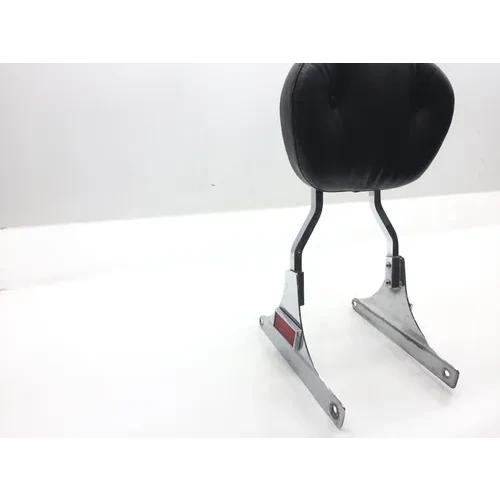 Sissy Bar 2001 Harley-Davidson Softail Standard EFI FXSTI 2568 x 5