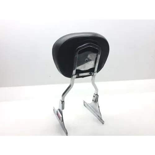 Sissy Bar 2001 Harley-Davidson Softail Standard EFI FXSTI 2568 x 7