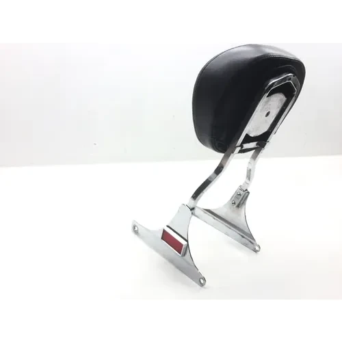 Sissy Bar 2001 Harley-Davidson Softail Standard EFI FXSTI 2568 x 9