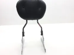 Sissy Bar 2001 Harley-Davidson Softail Standard EFI FXSTI 2568 x