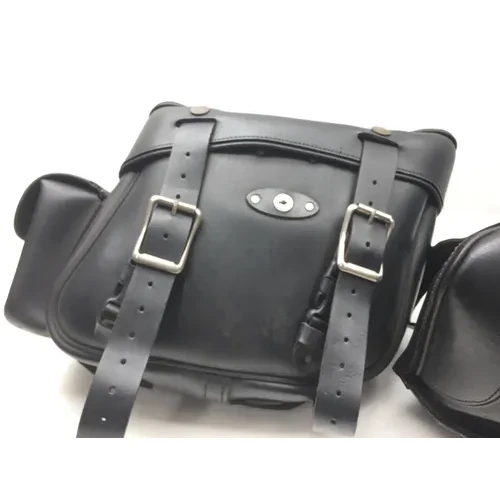 Saddlebags 2001 Harley-Davidson Softail Standard EFI FXSTI 2568 5