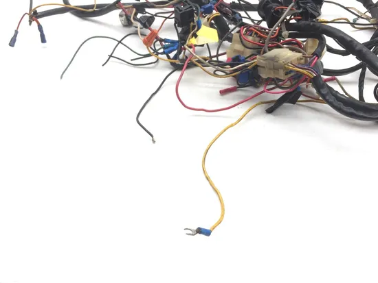Main Engine Wiring Harness 1988 Harley-Davidson Electra Glide Sport FLHS 2569 x 3