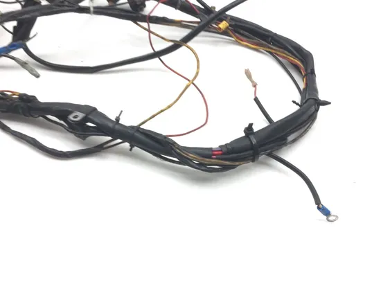 Main Engine Wiring Harness 1988 Harley-Davidson Electra Glide Sport FLHS 2569 x 5