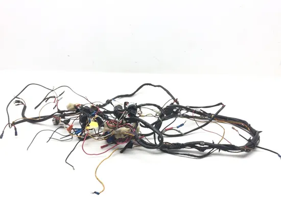 Main Engine Wiring Harness 1988 Harley-Davidson Electra Glide Sport FLHS 2569 x 1