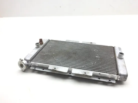 Engine Radiator Cooling 2009 Yamaha Rhino 450 YXR450FA 4x4 2574A
