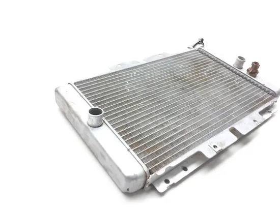 Engine Radiator Cooling 2009 Yamaha Rhino 450 YXR450FA 4x4 2574A