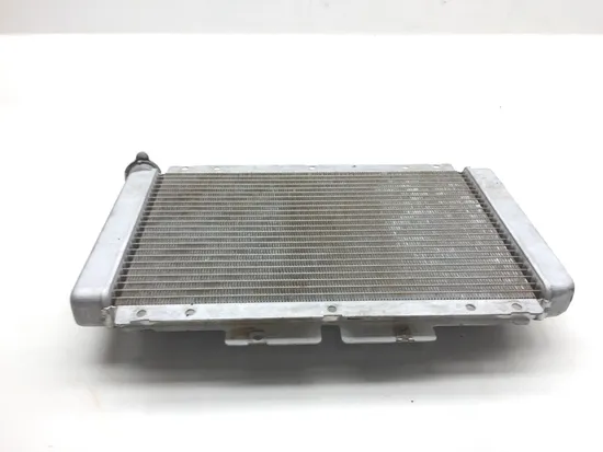 Engine Radiator Cooling 2009 Yamaha Rhino 450 YXR450FA 4x4 2574A