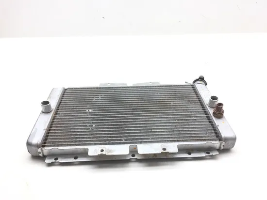 Engine Radiator Cooling 2009 Yamaha Rhino 450 YXR450FA 4x4 2574A
