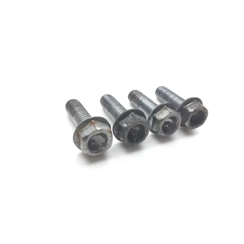 2001 Honda CBR929RR CBR 929RR Front Brake Caliper Mounting Bolts  244A 6