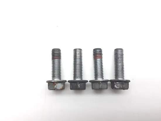 2001 Honda CBR929RR CBR 929RR Front Brake Caliper Mounting Bolts  244A