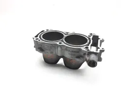 Engine Cylinder Jug PARTS Polaris RZR 900 2012 2575 x