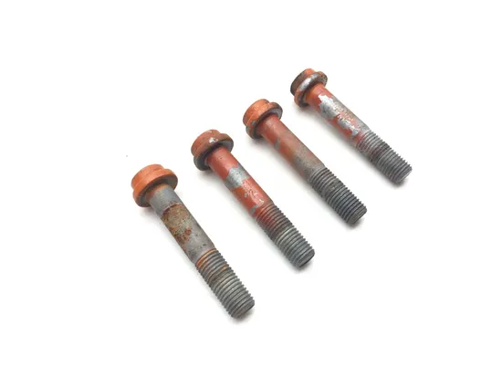2013 KTM RC8R RC8 1190 Front Brake Caliper Mounting Bolts  2587A