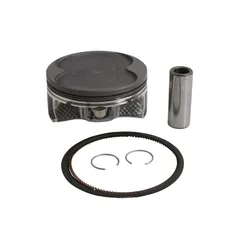 Vertex Cast Replica Piston Kit 98.95mm 10.2:1
