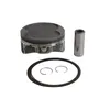 Vertex Cast Replica Piston Kit 98.95mm 10.2:1