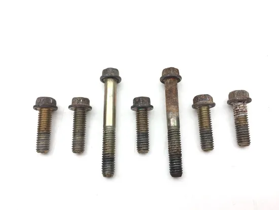 Engine Water Pump Cover 2012 Polaris RZR 800 EFI 2594