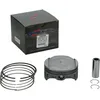 Vertex Cast Replica Piston Kit 92.95  Std 10.6:1