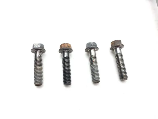 Engine Cylinder Head Bolts 2017 Yamaha Kodiak 700 YFM700K 4x4 FI 2595A