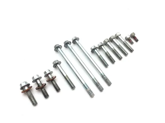 2002 Honda Rubicon TRX500FA Outer Stator Cover 2601A