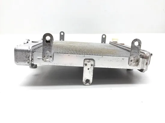 2002 Honda Rubicon TRX500FA Engine Radiator Cooling 2601A